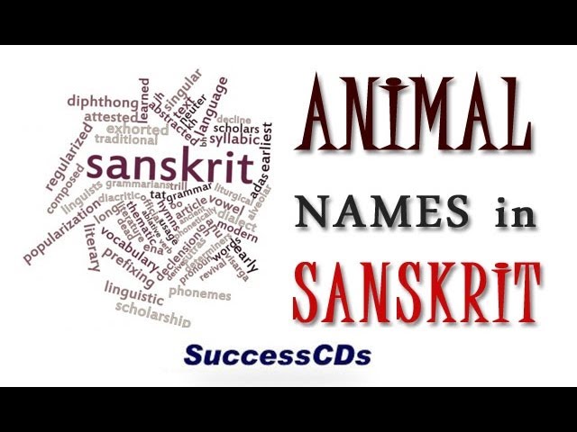 Animal Names in Sanskrit - YouTube