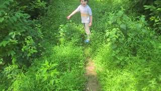 Hiking The Morris Canal Greenway In Phillipsburg Nj