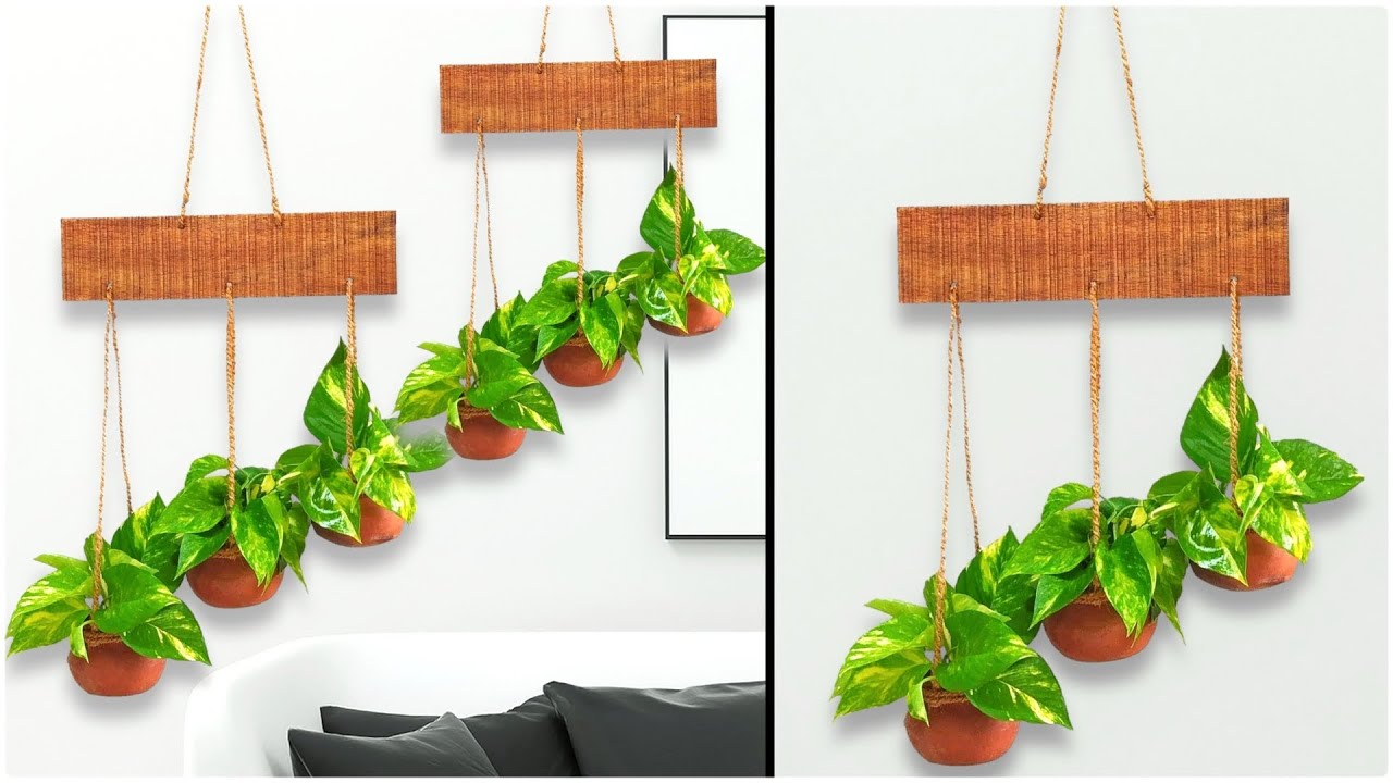 Beautiful and Easy Money Plant Hanging Ideas/Hanging Plants/Hanging