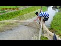 Primitive Fish Catching By Net After Raining। Boy Catch Fish After Raining।