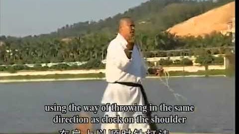 Shaolin Rope Dart - Shi De Biao (VCD)