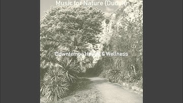 Background for Rebalancing