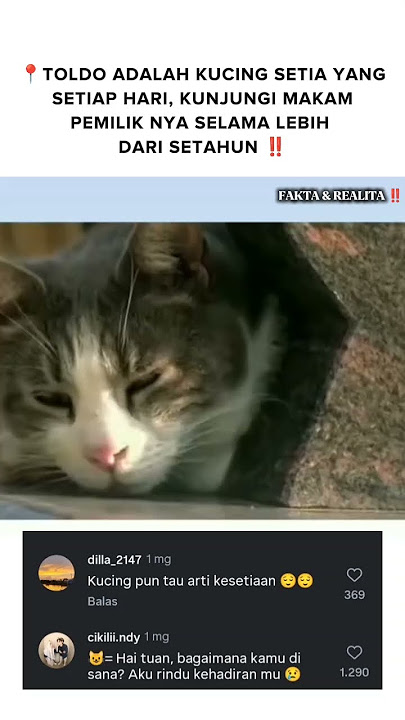 🔴 DEFINISI KESETIAAN & KASIH SAYANG YANG SEBENAR NYA ‼️ #feedshorts #shortsviral #shortsfeed