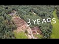 Everything we did on our abandoned land on the 3rd year