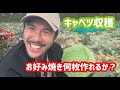 【お好み焼き何枚分？】キャベツ収穫part2!! in和歌山