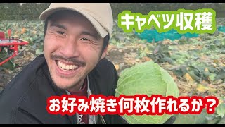 【お好み焼き何枚分？】キャベツ収穫part2!! in和歌山