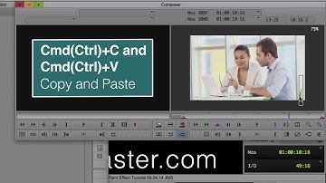 EVF Tutorial – Paint Effect Overview in Avid Media Composer