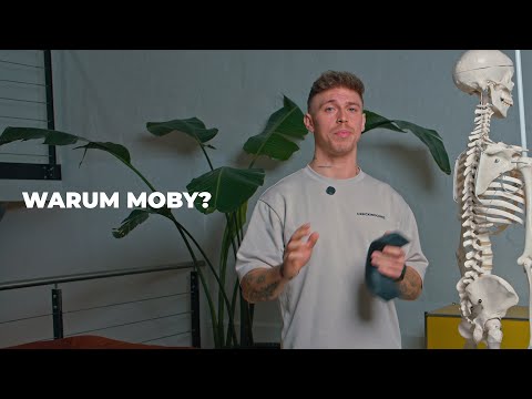 Why MOBY?