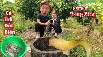 Cáo Ca - Câu Được Ổ Cá Trê Trong Giếng Cùng Mến Và Em Trai