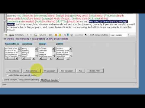 SpinnerChief Tutorial - Multi Words Selection