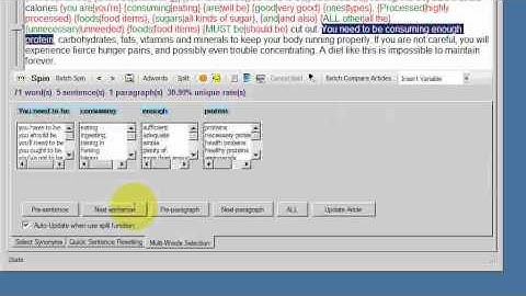 SpinnerChief Tutorial - Multi Words Selection