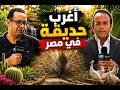 An Egyptian Engineer Establishes A Unique Garden To Breed The Most Expensive Birds And Rare Animals 
