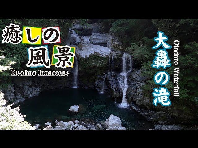 轟音の滝 Foil】(269)《轟音の滝/Thundering Falls》[MKM] 土地R | 日本