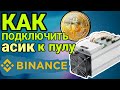 Как подключить асик к пулу бинанс / binance за 5 минут?