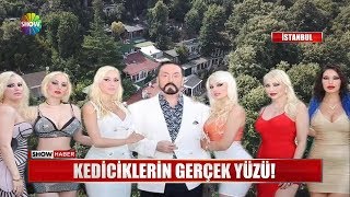 Kediciklerin gerçek yüzü!