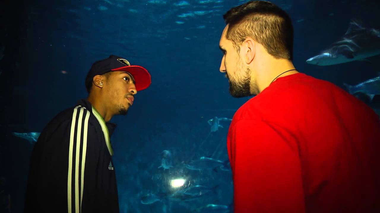 lonzo ball injury Toast for the Coast - A.D. & Ryan Admire the Wildlife