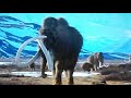 Prehistoric park mammoth attack