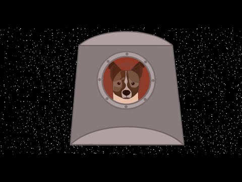 პირველი ცოცხალი