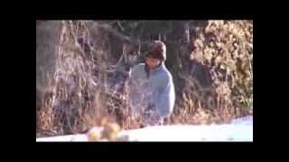 Me Peeing in a bush