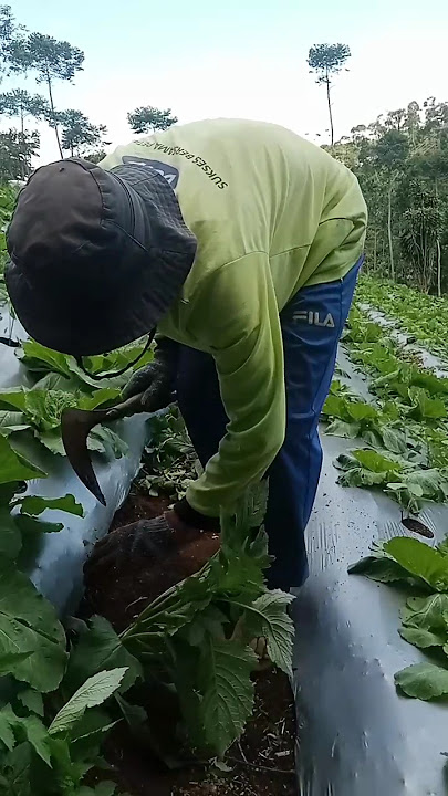 PENYIANGAN RAMAH LINGKUNGAN...!! (DENGAN TEKNIK TRADISIONAL)