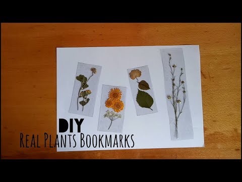 DIY: Transparent Real Pressed Plants Bookmarks | My Crafting World