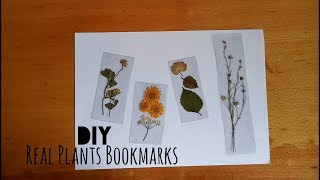 DIY: Transparent Real Pressed Plants Bookmarks | My Crafting World