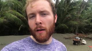 FROM THE FIELD - SEA TURTLE HATCHERY