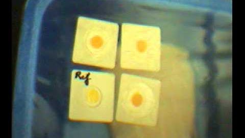 Colorimetric realtime fish spoilage monitoring