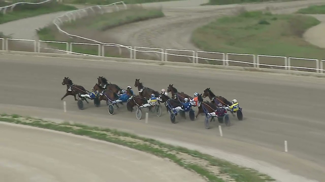 Napoli Trotto 06/03/2026 - 2ª corsa