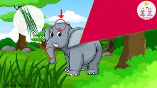 عالم الحيوان _ الفيل _ معلومات للاطفال _ امرح وتعلم