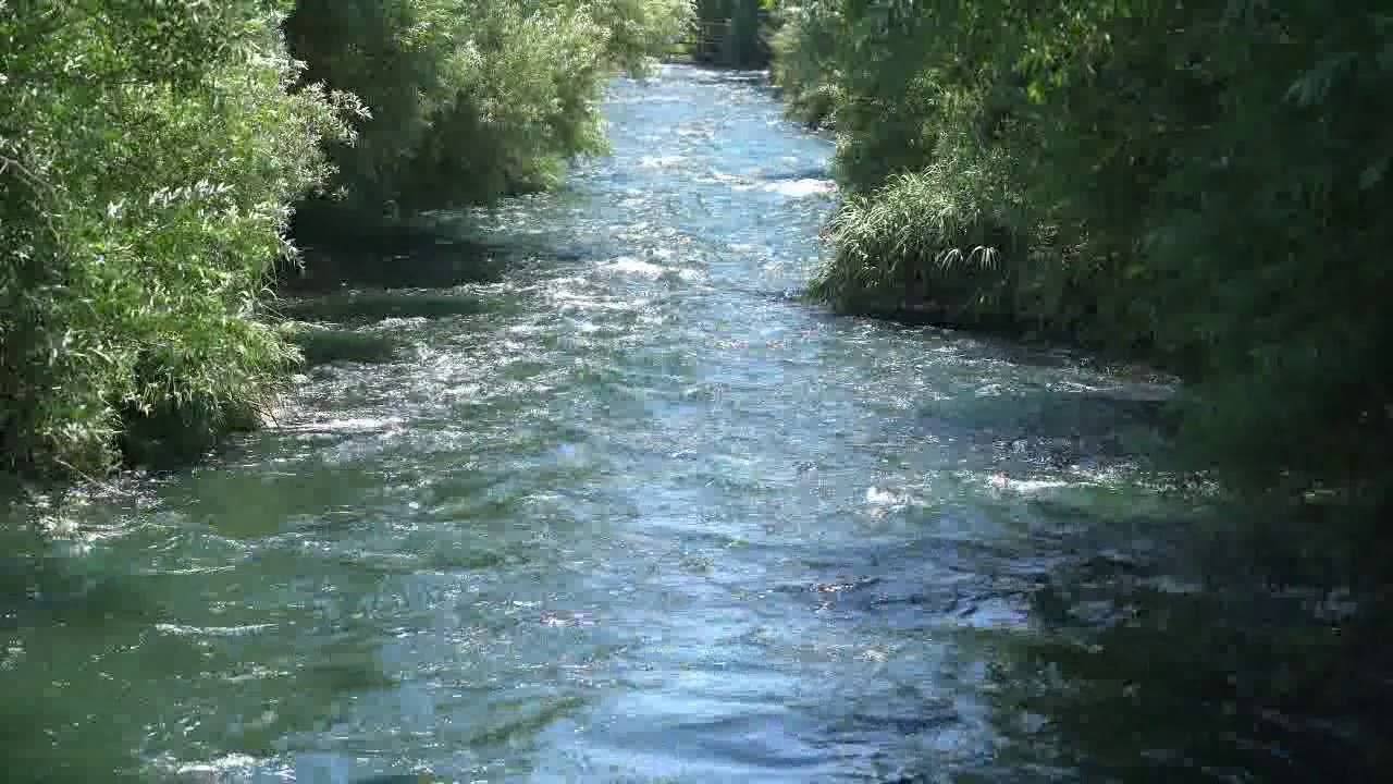 Relaksasi di sungai yang jauh dari keramaian kota 