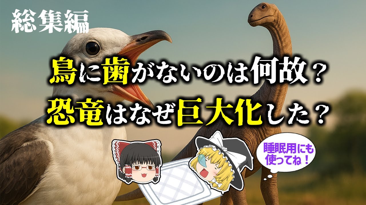 【睡眠用・ゆっくり解説】進化の謎に迫る！鳥・恐竜・翼竜の驚くべき進化とは？【広告最初のみ　途中広告なし】