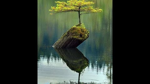 neutra__L -  Neptune