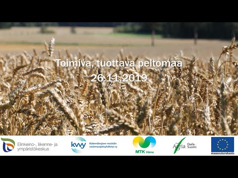 Video: Puutarhakipsitiedot – onko kipsi hyvä maaperälle