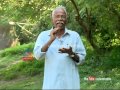 Karassery theli-malayalam Ithalukal 14th 2014