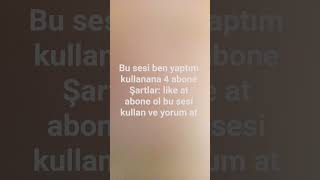 C_f1545 melodika sesi