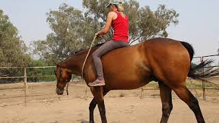 Riding bridleless