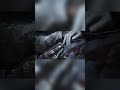 Das ist ne schnelle Verlobung #eldenring #soulsborne #soulslike #german