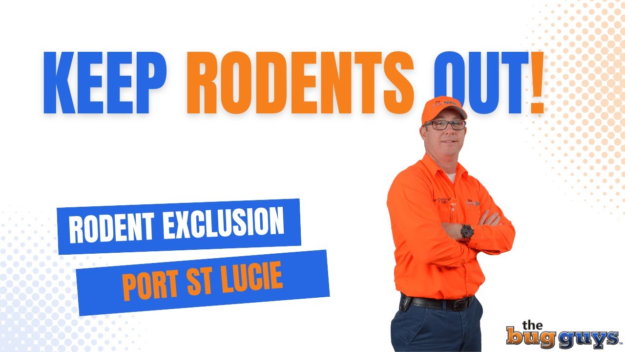 Keep Rodents Out!! Rodent Exterminator Port St Lucie Offering Rodent Exclusion Services