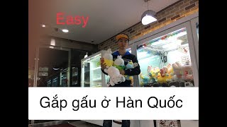 Hướng dẫn gắp gấu ở Hàn Quốc 100% có gấu | Cuộc sống ở Hàn Quốc - Đức9x Vlogs #4