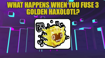 What happens when you fuse 3 Golden Haxolotl? (Pet Simulator X!)