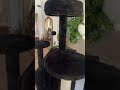 Cat Tree for Indoor Cats #CatTree #CatFurniture #PetSupplies #CatTower #CatsOfTikTok