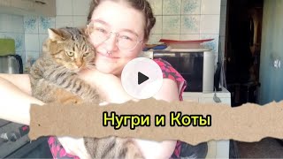 Пересказ "Каменотёс Нугри" и его коварный план...провалился.