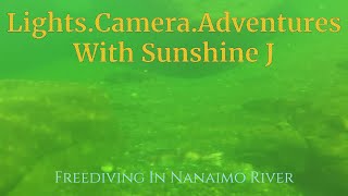 Freediving In Nanaimo River