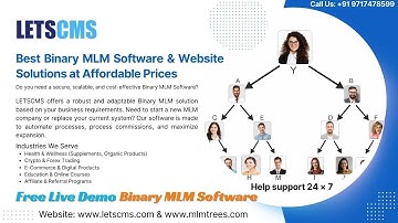 Best Binary MLM Software & Website Solutions at Affordable Prices - LETSCMS MLM Software