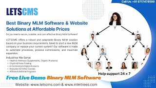 Best Binary MLM Software & Website Solutions at Affordable Prices - LETSCMS MLM Software