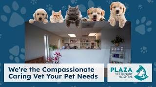 Choose Plaza Veterinary Hospital Comprehensive Pet Care in Burlington NC