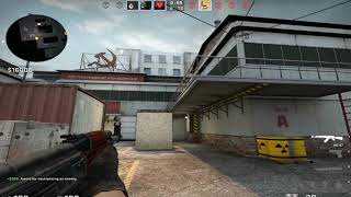 Csgo Panik Frag Highlights New Kennys??