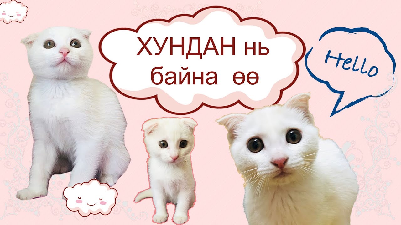 Хундан зулзага байх үедээ.