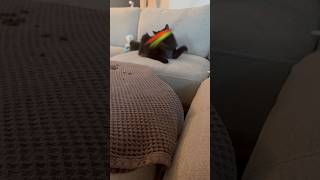 I Love How He Lazily Plays